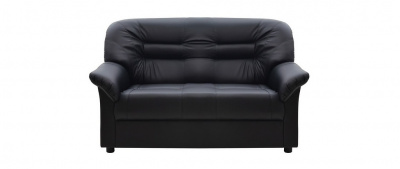 2-х местный диван с подлокотниками серия Премьер (V-100)